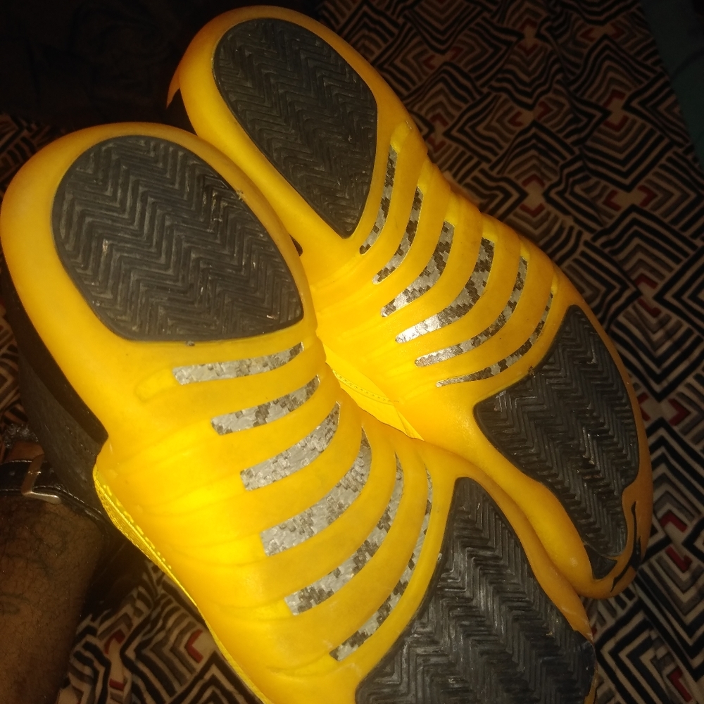 Air Jordan 12.